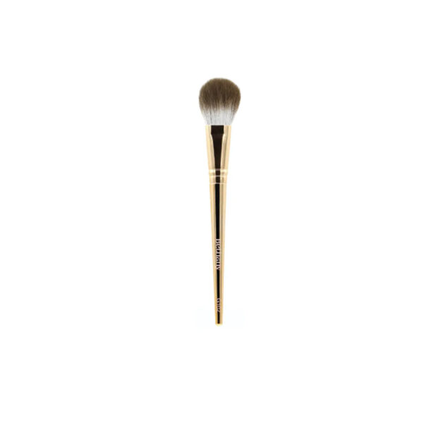 براش برای پودرg102 بتانی |Bethany powder brush g102