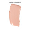 کانسیلر مدل perfect coverage فلورمار|Flormar perfect coverage liquid concealer