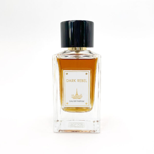 عطر و ادکلن dark rebel لافایت |lafayette dark rebel eau de parfum