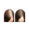 پوشاننده ریشه موی استیکی گلدن رز | Golden rose Sticky Hair Root Cover